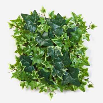 Seto de hiedra sintético LUKA, verde-blanco, 30x30cm