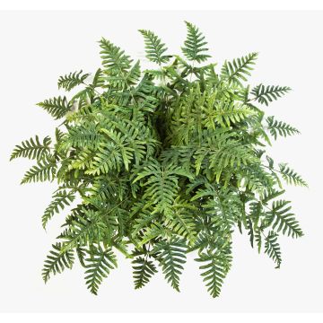 Helecho Athyrium artificial RENE, vara de fijación, verde, 75cm, Ø90cm