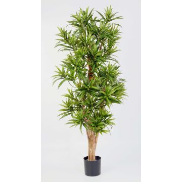 Dracaena reflexa sintética YASU, tronco real, difícil inflamar, verde, 150cm
