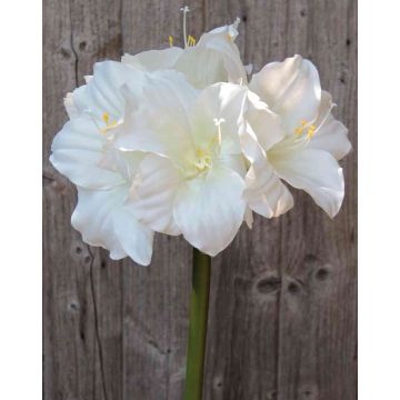 Amaryllis artificial DAGGI, blanco, 70cm, Ø11-18cm