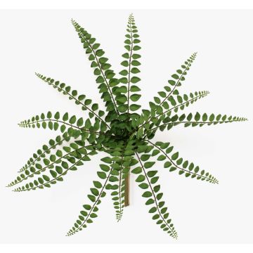 Planta artificial helecho GEVROL con varilla, difícilmente inflamable, verde, 35cm Planta artificial helecho GEVROL con varilla, difícilmente inflamable, verde, 35cm