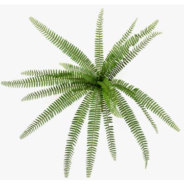 Planta artificial helecho espada DREGON con varilla, difícilmente inflamable, verde, 60cm Planta artificial helecho espada DREGON con varilla, difícilmente inflamable, verde, 60cm
