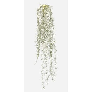 Suculenta artificial Tillandsia usneoides GRALER, varilla, difícilmente inflamable, gris, 90 cm