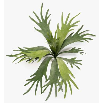 Planta artificial helecho cuerno VIGRAL, varilla, difícilmente inflamable, verde, 50cm Planta artificial helecho cuerno VIGRAL, varilla, difícilmente inflamable, verde, 50cm