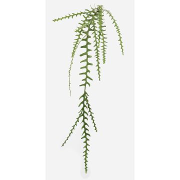 Planta artificial cactus de hoja BRAGIN, varilla, difícilmente inflamable, verde, 125 cm