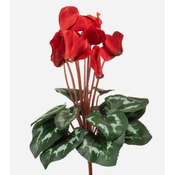 Cyclamen artificial VERIANA con varilla, rojo, 30 cm Cyclamen artificial VERIANA con varilla, rojo, 30 cm