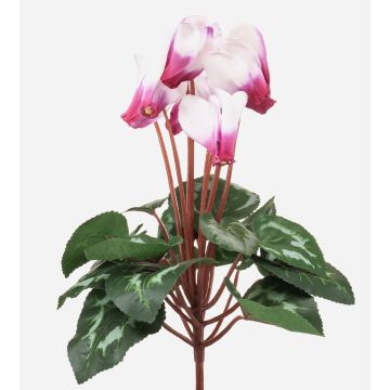Ciclamen artificial VERIANA en varilla, blanco-rosa, 30 cm Ciclamen artificial VERIANA en varilla, blanco-rosa, 30 cm