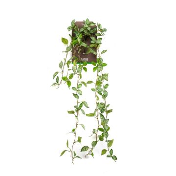 Planta colgante artificial pimienta enana SAELFES con varilla, verde-blanco, 85 cm