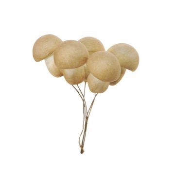 Champiñón decorativo THAYET, 6 piezas, beige, 12cm