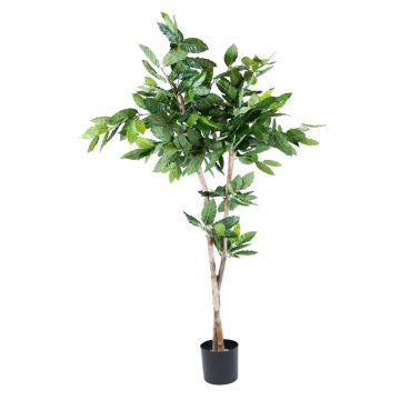 Árbol del café de plástico BORRA, tronco natural, 150cm