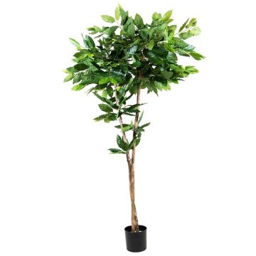 Árbol del café de plástico BORRA, tronco natural, 180cm