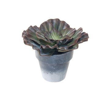 Echeveria rosea artificial MARNIE, maceta, burdeos-verde, 15cm