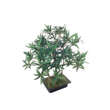 Bonsai Podocarpus artificial ALIKANA con raíces, cuenco decorativo, 45cm