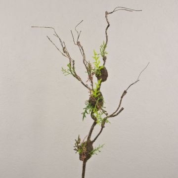 Rama artificial de salix matsudana RODRIK, musgo, helecho, marrón-verde, 80cm