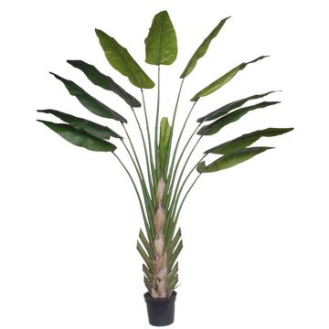 Heliconia artificial KASIYA, verde, 300cm