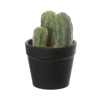 Cactus columna decorativo NIENA, maceta, verde, 10cm