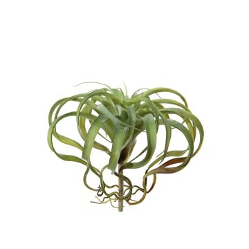 Tillandsia xerographica artificial AZARD, varilla, verde-rojo, 30cm, Ø35cm
