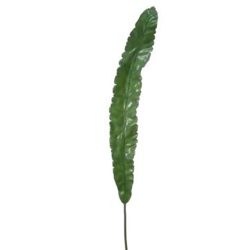 Hoja decorativa de pilistra DILANA, 120cm