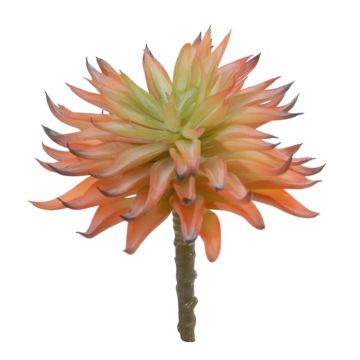 Echeveria elegans artificial LUGA, varilla, naranja-verde, 16cm