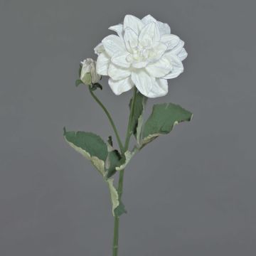 Rama de flores artificiales dalia GINGER, Eco Collection, blanco-lila, 60 cm, Ø 10 cm Rama de flores artificiales dalia GINGER, Eco Collection, blanco-lila, 60 cm, Ø 10 cm