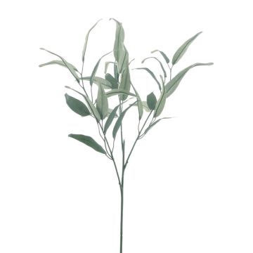 Rama de eucalipto decorativa MALWINE, Eco Collection, verde, 75 cm