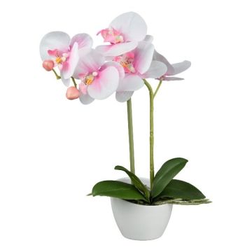 Orquídea Phalaenopsis de tela FUNTIF en maceta de melamina, raíces, rosa y blanco, 35 cm