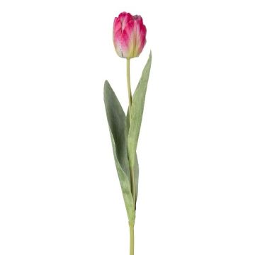 Flor decorativa tulipán GUSNAV, rosa oscuro, fucsia-verde-blanco, 50cm, Ø5cm Flor decorativa tulipán GUSNAV, rosa oscuro, fucsia-verde-blanco, 50cm, Ø5cm