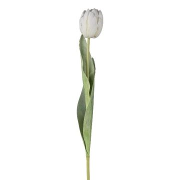 Flor decorativa tulipán GUSNAV, blanca, blanco, 50cm, Ø5cm Flor decorativa tulipán GUSNAV, blanca, blanco, 50cm, Ø5cm
