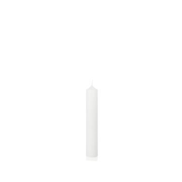 Vela de chimenea FRANZISKA, blanca, 30 cm, Ø 5 cm, 64 h - Fabricado en Alemania Vela de chimenea FRANZISKA, blanca, 30 cm, Ø 5 cm, 64 h - Fabricado en Alemania