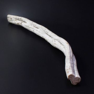 Liana encalada Cipo Rosca MALINDI, decoración natural, 70 cm, Ø 8 cm