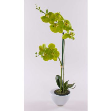 Orquídea Phalaenopsis artificial AURELIA, en maceta de cerámica, verde, 55cm