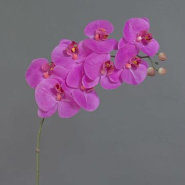 Rama de Phalaenopsis falsa AURELIA, fucsia, 95cm, Ø10cm