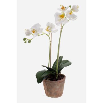 Orquídea Phalaenopsis sintética MINA maceta terracota, blanco, 45cm, Ø6-8cm Orquídea Phalaenopsis sintética MINA maceta terracota, blanco, 45cm, Ø6-8cm