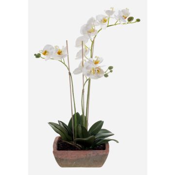 Orquídea Phalaenopsis sintética MINA maceta terracota, blanco, 55cm, Ø6-8cm Orquídea Phalaenopsis sintética MINA maceta terracota, blanco, 55cm, Ø6-8cm