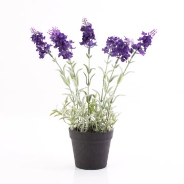 Lavanda artificial LOUISE, maceta decorativa, violeta oscuro, 30cm, Ø3cm Lavanda artificial LOUISE, maceta decorativa, violeta oscuro, 30cm, Ø3cm