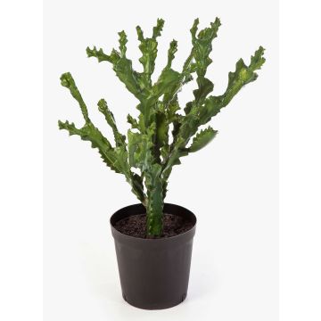 Euphorbia artificial TIKO, verde, 75cm
