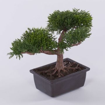Bonsái artificial de cedro ALVARI en tiesto decorativo, 20cm