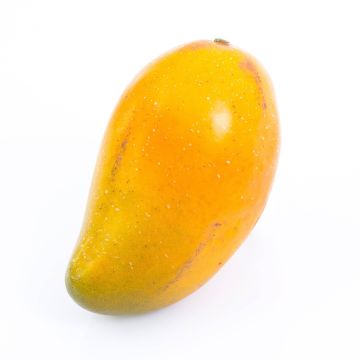 Mango artificial FLORISA, naranja-amarillo, 13cm, Ø8cm Mango artificial FLORISA, naranja-amarillo, 13cm, Ø8cm