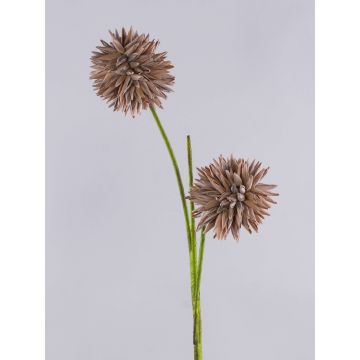 Allium artificial CHIRARA, marrón, 95cm, Ø10cm Allium artificial CHIRARA, marrón, 95cm, Ø10cm
