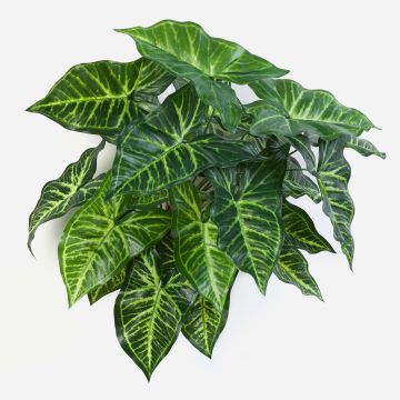 Syngonium sintético SERENO, en vara de fijación, verde, 45cm