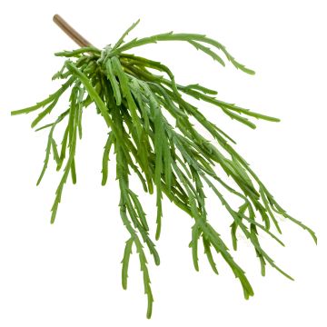 Rhipsalis artificial colgante HADRIAN, en vara de fijación, verde, 35cm