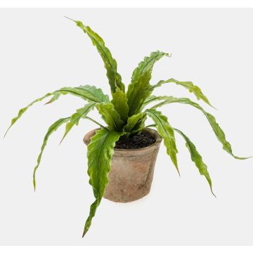 Helecho planta imitación FRANNY, maceta terracota, verde, 30cm, Ø30cm Helecho planta imitación FRANNY, maceta terracota, verde, 30cm, Ø30cm