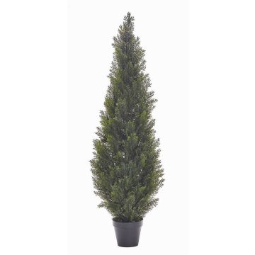 Cedro artificial EDELA para exterior, verde, 150cm Cedro artificial EDELA para exterior, verde, 150cm