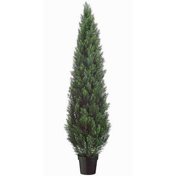 Cedro artificial EDELA para exterior, verde, 180cm Cedro artificial EDELA para exterior, verde, 180cm