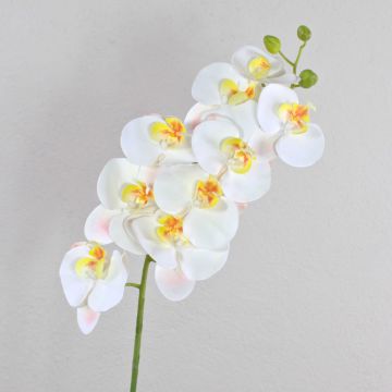 Rama de Phalaenopsis artificial OPHELIA, blanco, 100cm, Ø12cm