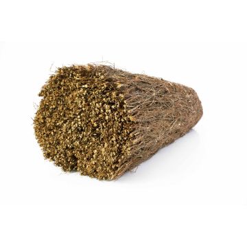 Estera LUKE de brezo, marrón, 500cmx200cm