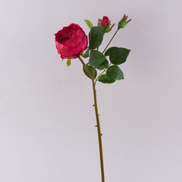 Rosa repollo artificial MIRETTA, rojo, 60cm, Ø3-9cm Rosa repollo artificial MIRETTA, rojo, 60cm, Ø3-9cm