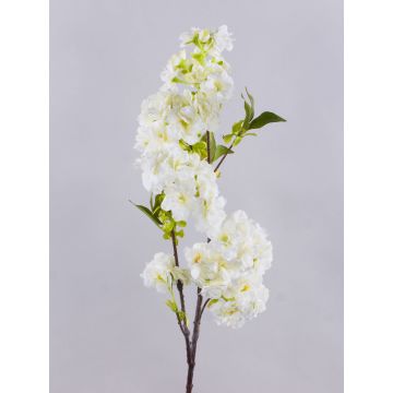 Rama textil de flor de cerezo MATSUDA con flores, crema-blanco, 80 cm Rama textil de flor de cerezo MATSUDA con flores, crema-blanco, 80 cm