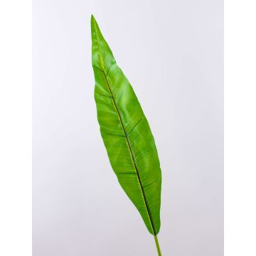 Hoja de helecho de asplenio artificial CESAR, verde, 95cm Hoja de helecho de asplenio artificial CESAR, verde, 95cm