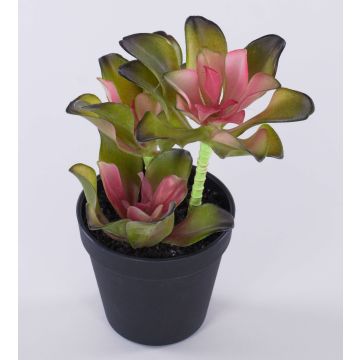 Echeveria artificial SHAUNA en maceta decorativa, verde-morado, 25cm Echeveria artificial SHAUNA en maceta decorativa, verde-morado, 25cm